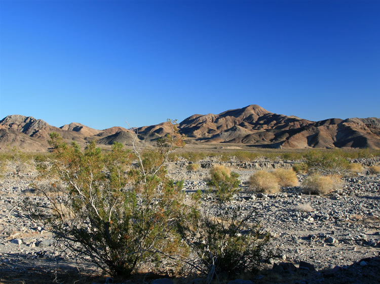 Again, this is a view looking back at our entrance route.