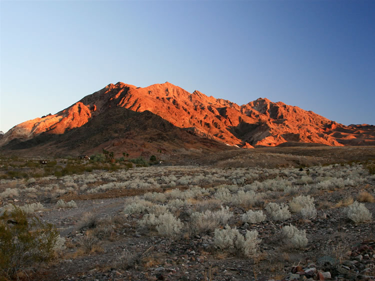 The advantage to camping at Ibex Spring last night is that we're here for the morning light show!  In the following pics we'll see the springs area at dawn, check out the dump south of the springs, and check out an area across the wash to the east that we missed the last time we were here.  For a detailed look at Ibex Spring you can click on the link to our earlier trip here when you get to the last photo.