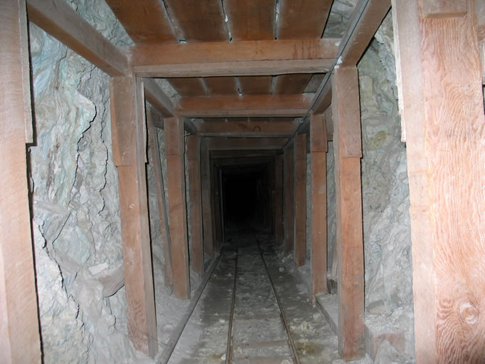 A look inside.