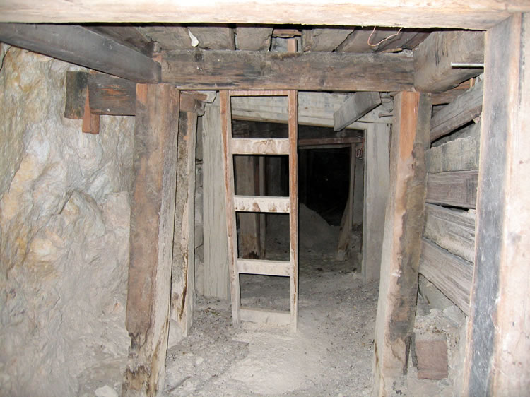 The ladder leads to the upper workings.