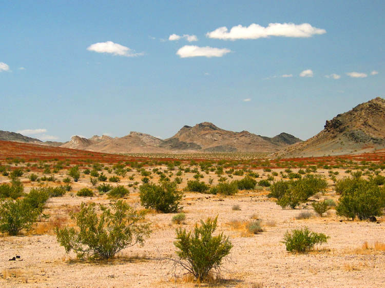 The reddish-brown buckwheat adds a nice splash of color to this scenic view as we reluctantly start our trek back to civilization.  We do, however,  have one interesting stop left to make.