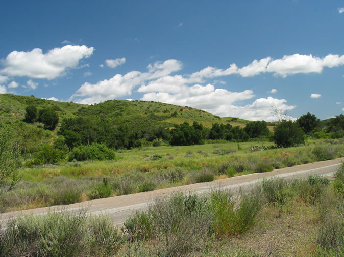 The winter rains had been kind to this normally parched area