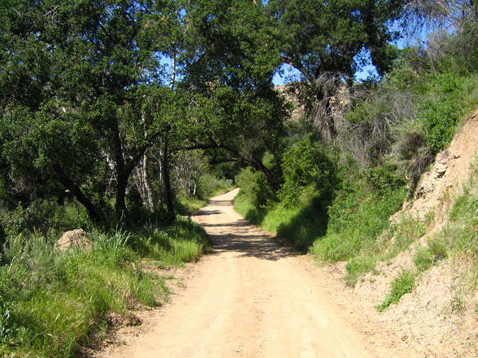 Winding deeper into the Santa Ana Mountains.