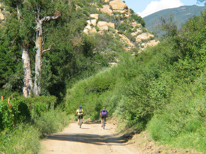 This is a favorite trail with mountain bikers as well as hikers.