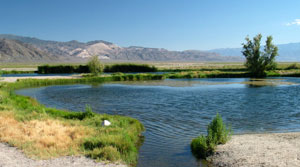 hot spring