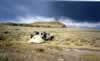 Just before sunset, we drove down Bodie Canyon and then turned right on a 4WD road which took us to the east side of Bodie Bluff and a great campsite by the old tailings pond. (58kb)