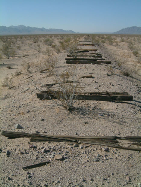 Looking south along the T&T berm.