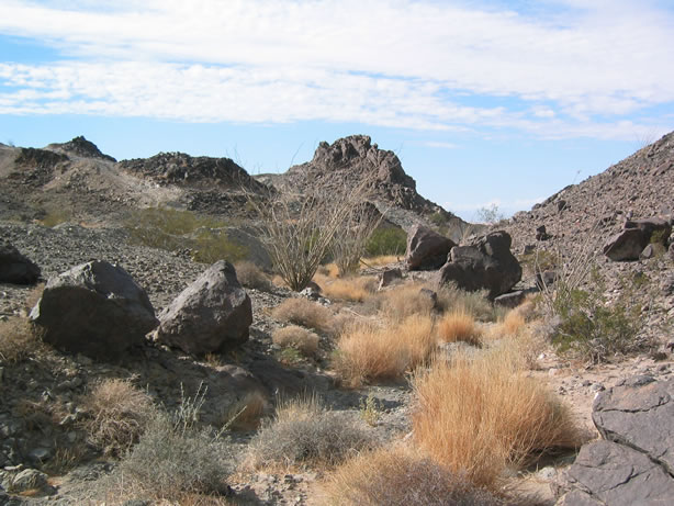 The Bluebird Mine is up to the left.