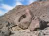 A really interesting boulder we found in the wash near the Bluebird Mine. (99kb)