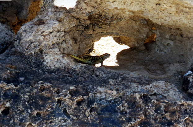 Our tour guide sure knew her way around and through those rocks.