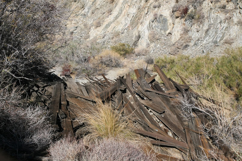 Our plan now is to work up to the spring location further up the canyon and see what's going on there.  Just at the edge of the cabin site is a pile of wood planks.  We can't tell if they're from the stone cabin or from a separate structure that has collapsed.