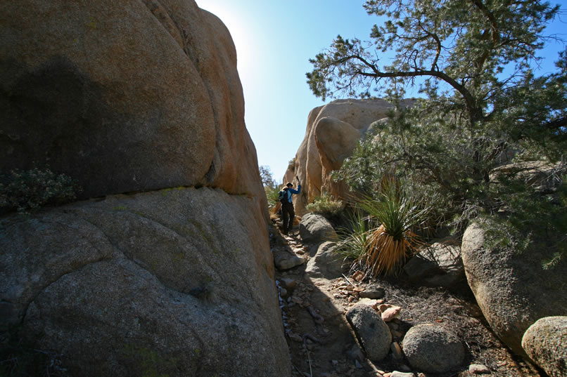 As we hike through this rocky cleft, we spot two things.