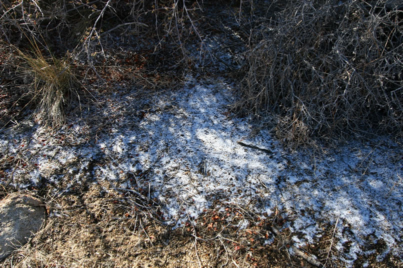 The first thing is that there's a healthy frosting of snow in the shadows.