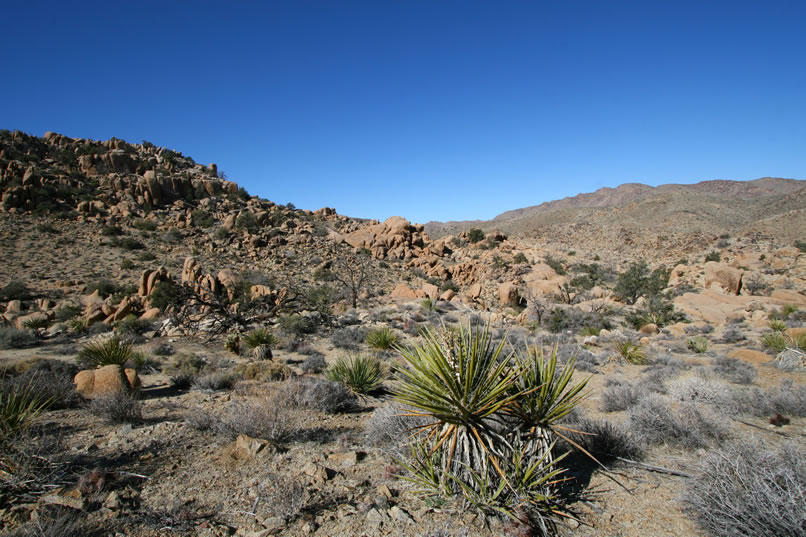 Here are a few more views of the scenery as we continue toward the Eagle Cliff location.