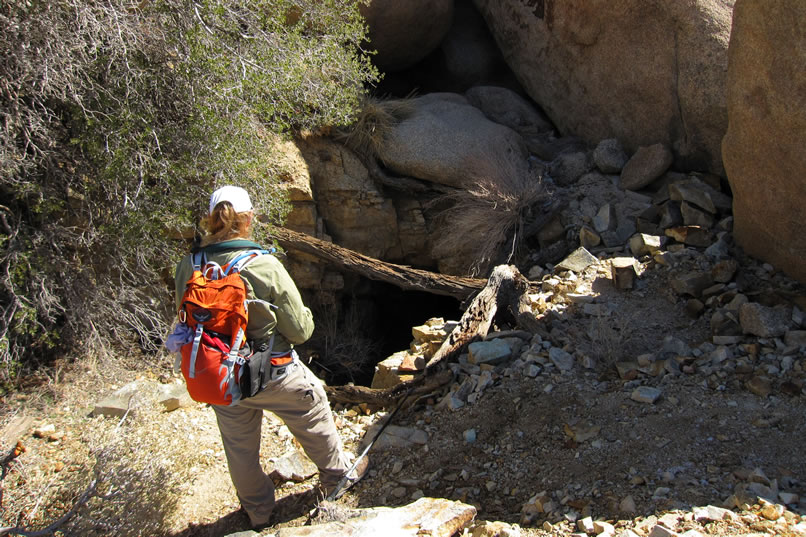 The first thing that we find is a steeply inclined shaft that's framed and cribbed with native pinyon pine.