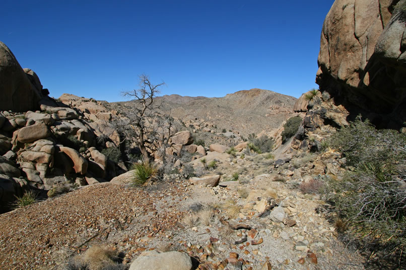 Here we check out the precipitous drop into the canyon on the left from the safety of the narrow ledge.