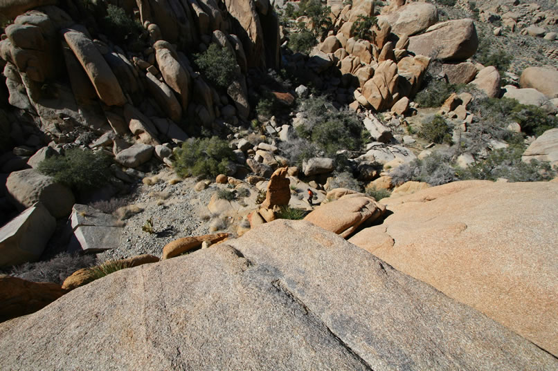 Since she's down there, she does a little scouting further down the canyon but nothing turns up.  You can just see her to the right of the brown finger of rock in the center of the photo.