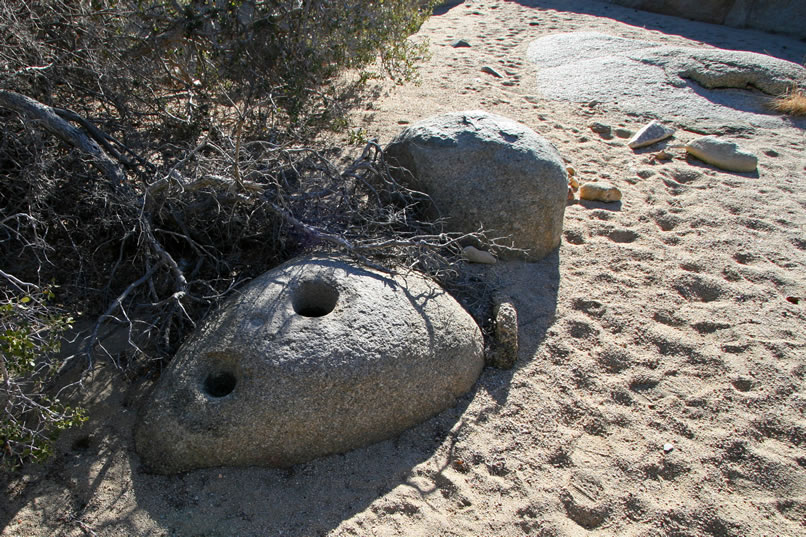 Perhaps the nicest find on our return trip are these bedrock mortars at the edge of the wash.