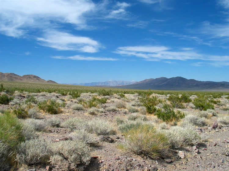 After a snack (no lizards were involved) we head east toward Sagenite Canyon to spend the night and then do a little agate hunting the next day.