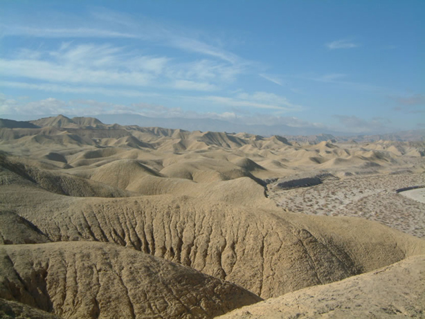 Experience Thrilling Wildlife Watching at Fish Creek (Comb Wash)
