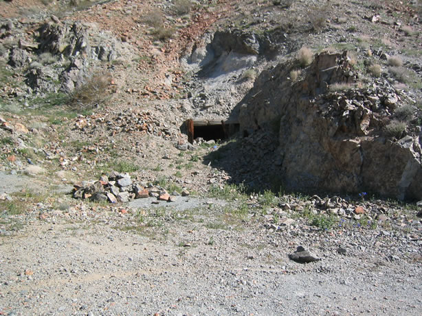 The upper adit of the Ford Mine.