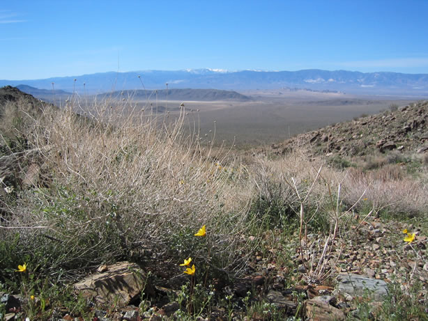 They don't call it Grandview for nothing.