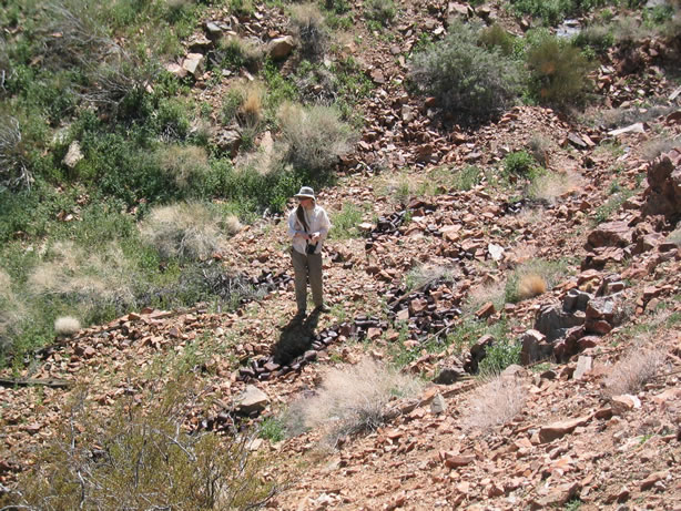 Niki down in the can dump.