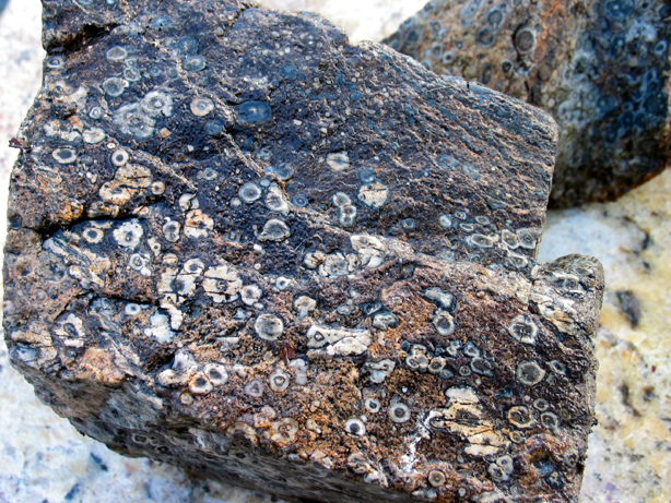 Bugeye rhyolite from the Grandview Mine area.