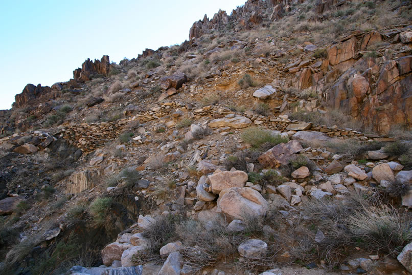 We decide to stay in the wash bottom all the way to the start of the old road.  On the hillside above us we can see the stacked rocks marking the old pack trail that Niki explored on the trip up.