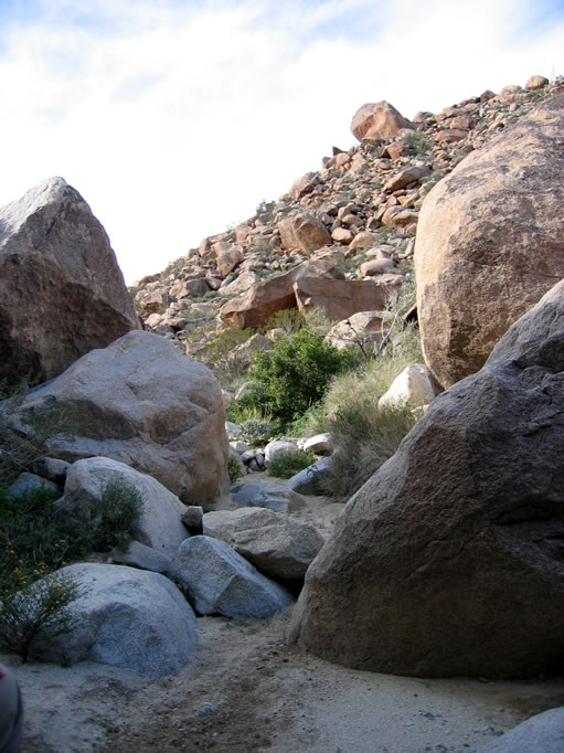 The start of the hike at the Pinyon Canyon trailhead.