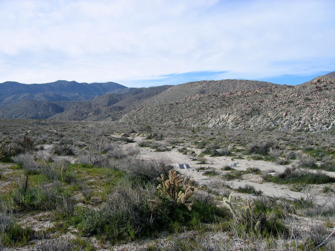 Looking south into Harper Flat.