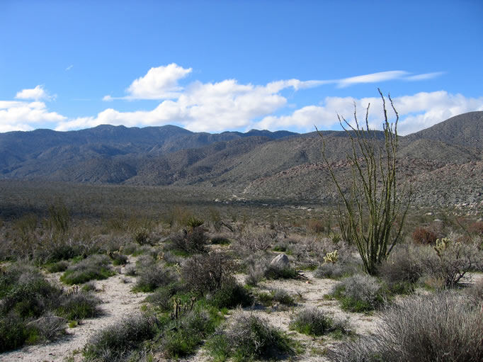 We descend from the rocky area to the flats and continue to find evidence of habitation.