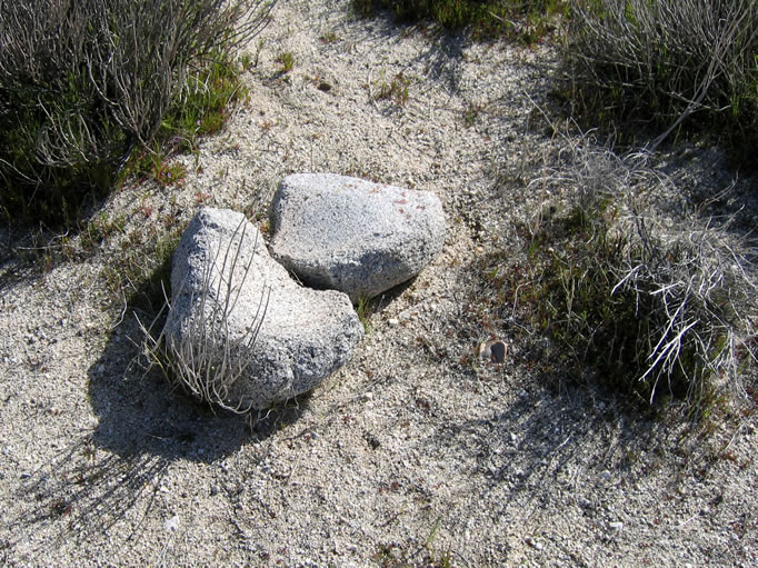 There were several small grinding stones in this area.