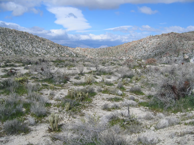 As clouds build in the afternoon, we again enter the mouth of Pinyon Canyon for our return trip.