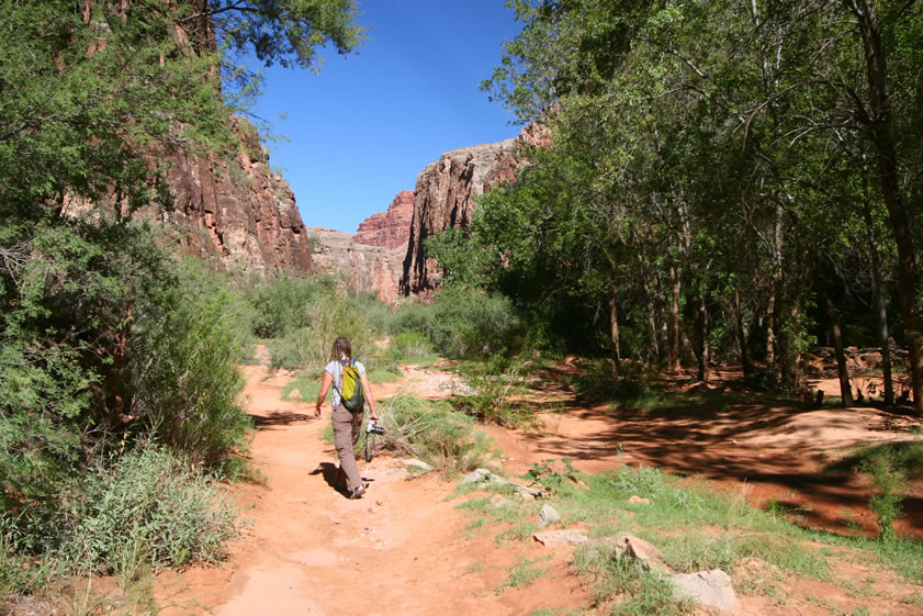 Now that we're settled, we grab our daypacks and wander down the trail toward Mooney Falls.