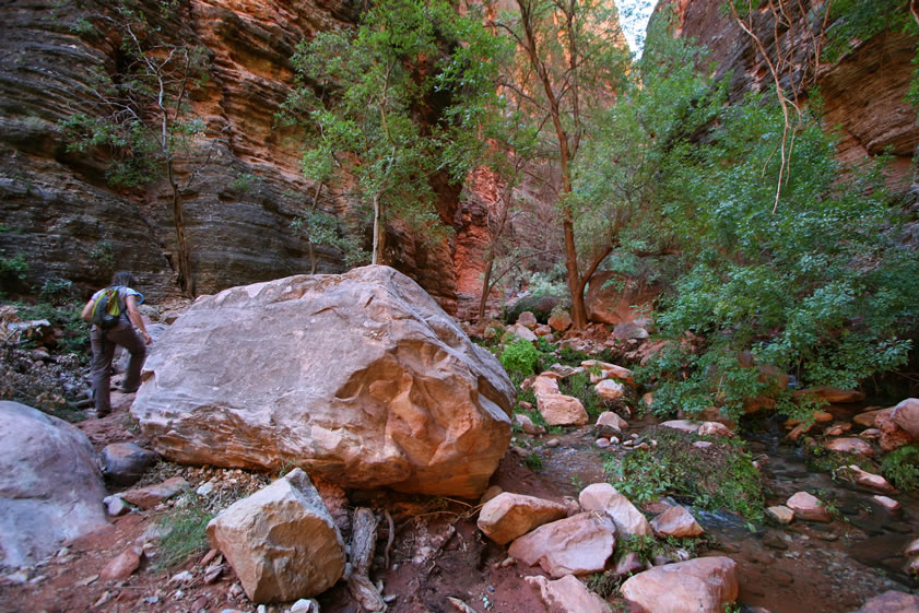 Before we head down toward Beaver Falls we explore a nearby slot canyon called Fern Canyon.