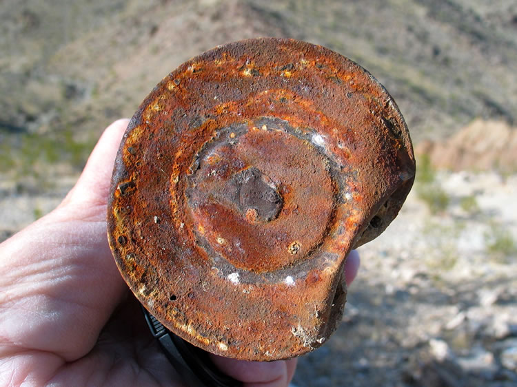 Numerous soldered hole and cap cans were scattered about.