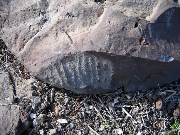 These interesting grooves also caught our eye.