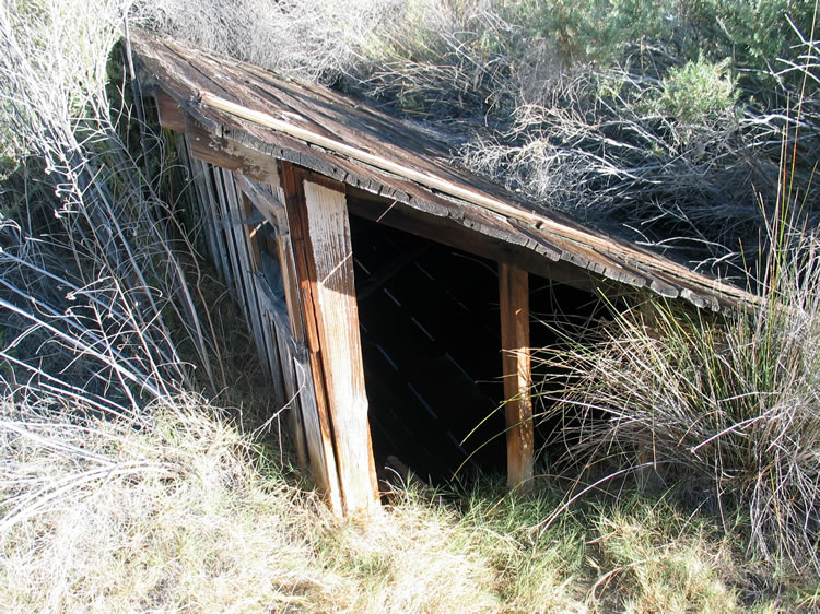 The spring shed provides critters access to the life giving water.