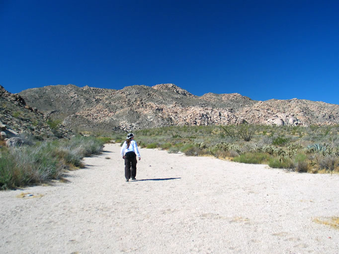 The washes were like super highways.