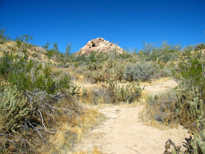 Our first view of Indian Hill.