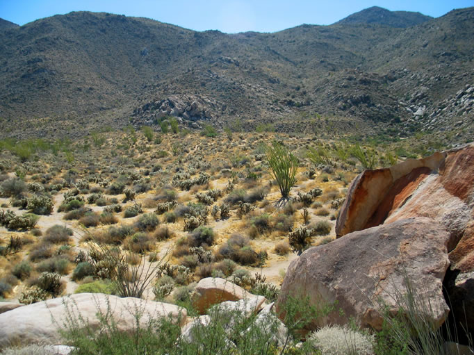 A view south eastward from Blue Sun Shelter.