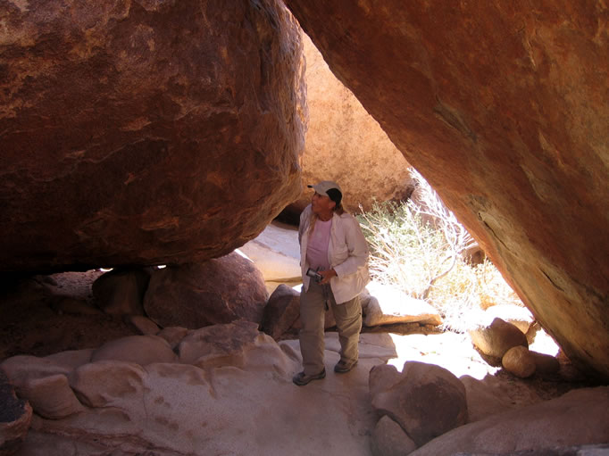 The entrance to the shelter.