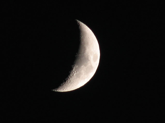 Moonlight and coyotes, a real desert treat!