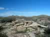 While hiking around the Little Randsburg we found numerous pegmatite veins. (95kb)