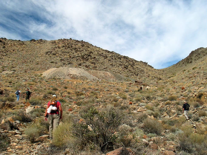 Operating in the early 1900's, this gold mine was one of the better producers in the region.