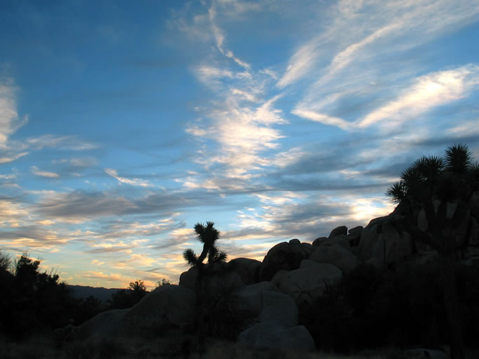 Love those Joshua Tree skies.