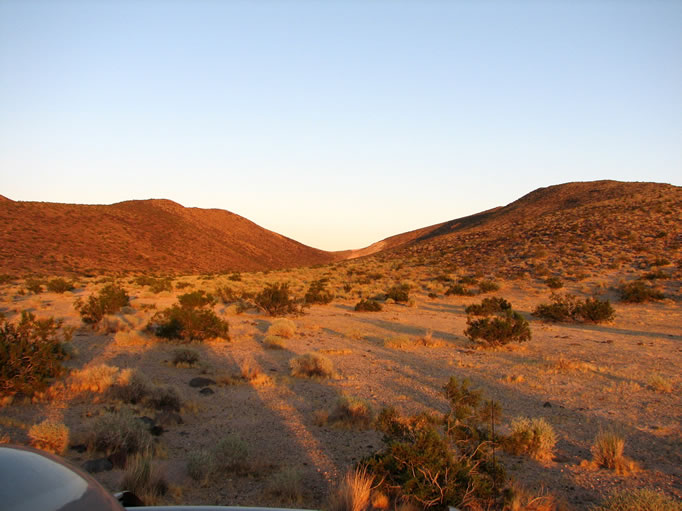 Long shadows at sunset. 