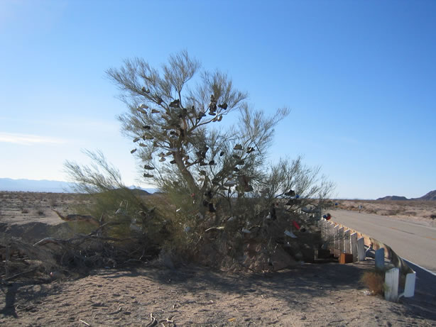 The mysterious shoe tree.