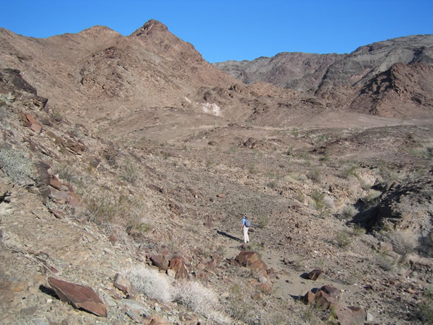 Hunting for more petroglyphs.